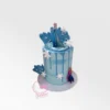 Cake from Frozen – A magical Disney-inspired creation by Cravery's cake makers Birmingham.