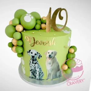10th Birthday Cake with pet inspired decorations from The Cravery cake shop Aston
