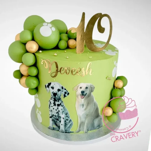 10th Birthday Cake with pet inspired decorations from The Cravery cake shop Aston